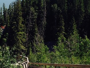 Photo of the Fort Edmonton Park footbridge. Nicole Bergot