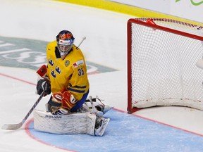 Swedish goalie Oscar Dansk looks back at the puck after giving up a goal to Finland during the World Junior Championship gold-medal match in Malmo, Sweden, January 5, 2014.  (REUTERS/Alexander Demianchuk)