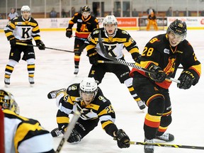 Belleville's David Tomasek challenges Kingston goalie Jeremy Helvig during OHL action Wednesday night at Yardmen Arena. (Don Carr for The Intelligencer)