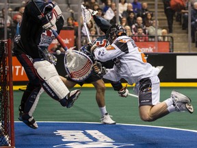 Toronto Rock goalie Brandon Miller has been solid through the first half alongside Nick Rose. (CRAIG ROBERTSON/TORONTO SUN)