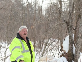 Stone Mills Township roads manager Keith Miller stands beside a tree stump off the California Road near Enterprise on Thursday, Feb, .26. Meghan Balogh/QMI Agency
