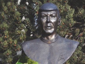 These flowers were placed Friday on the bronze bust of Leonard Nimoy, famous for his portrayal of the character Spock in Star Trek movies and the original TV show, that's located in Vulcan's downtown. Nimoy died Friday at the age of 83. Stephen Tipper Vulcan Advocate