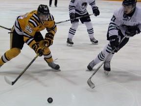Sarnia Sting forward Jordan Kyrou and Plymouth Whalers defenceman Yannick Rathgeb race to a loose puck during the Ontario Hockey League game on Friday night at RBC Centre. The Sting and Whalers clashed for the sixth and final time this season. (TERRY BRIDGE, The Observer)