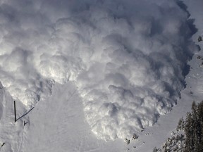An artificially triggered avalanche thunders down a mountain side past a 30 meters (98 feet) high pole holding measuring equiptment, at the Vallee de la Sionne in Anzere near Sion, February 3, 2015. The full-scale avalanche dynamics test site is providing scientists and engineers of the Swiss Institute of Research of Snow and Avalanches with essential data to understand and model avalanche motion, according to the Institute website.    REUTERS/Denis Balibouse (SWITZERLAND  - Tags: ENVIRONMENT SOCIETY SCIENCE TECHNOLOGY)