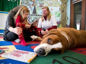 Tim Miller/The Intelligencer
Five-year-old Maya Bianchi reads to therapy dog Charlie during a 'Paws for Reading' session at the Belleville library on Thursday. The program is aimed to help young or reluctant readers grow more comfortable with the act of reading.