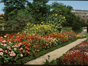 The Landbohojskolens garden in Netherlands. You can learn something from every garden you visit, says Denise Hodgins.