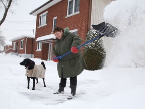 Sandra Shymanski shovels snow, as her dog Noah looks on in Sudbury, Ont. on Tuesday March 3, 2015. Gino Donato/Sudbury Star/QMI Agency