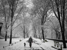 A man walks his dog in falling snow in Riverside Park in upper Manhattan in New York City in the early morning Mar. 5, 2015. (REUTERS/Mike Segar)