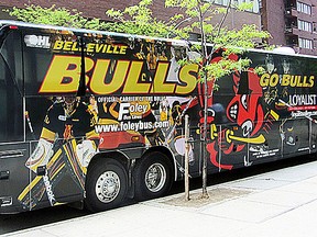 bulls-bus