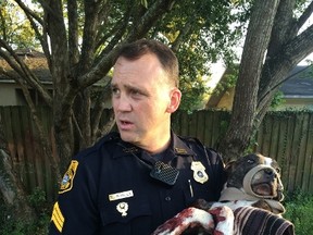 This photo obtained March 5, 2015, courtesy of the Tampa Police Department shows Sergeant Mills on March 4, 2015 carrying a shot dog to a police vehicle for escort to an emergency vet. The mixed breed dog was shot repeatedly and tied to railroad tracks but was found alive. Officers Nick Wilson and Sgt. R. Mills worked to free the dog from the railroad tracks and then rushed the dog to the Tampa bay Veterinary Emergency Center  where it is under care in stable condition. Officers named the dog "Cabela" and she had her right leg amputated on Thursday. (REUTERS/Tampa Police Department/Handout via Reuters)