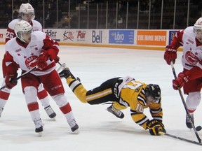 Sault Ste. Marie Greyhounds Anthony DeAngelo (7) and Timmy Gettinger (26) watch Sarnia Sting forward Anthony Salinitri dive to knock the puck away from teammate Connor Boland. Friday was DeAngelo's second appearance at RBC Centre since being traded from the Sting, the team he spent three-and-a-half seasons with, to the Greyhounds. (TERRY BRIDGE, The Observer)