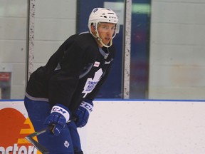Petter Granberg, demoted to the Marlies on March 10, 2015, could return soon -- but other top defencemen with the Maple Leafs' top farm team aren't likely to be called up this season. (DAVE ABEL/Toronto Sun files)