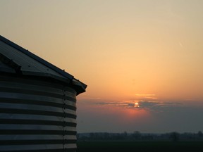 grain bin