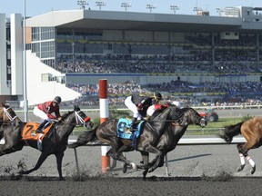 Woodbine Racetrack. (Michael Burns, photo)