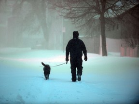 man walking dog filer