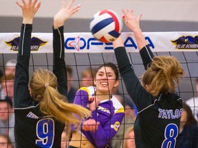 Central?s Camila Rios slams a spike past Ingersoll?s Laura Hutchison and Dallas Taylor during their OFSAA AAA girls volleyball bronze medal match in Ingersoll on Wednesday. Central won in 3-1. (MIKE HENSEN, The London Free Press)
