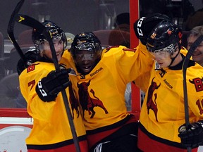 Belleville Bulls Jordan Subban (middle) celebrates his goal with teammates Michael Curtis (left) and Austen Brassard during OHL action at Scotiabank Place in Kanata Sunday, Nov. 11, 2012.  (DARREN /QMI Agency)