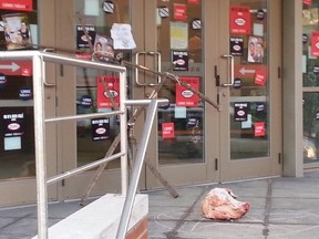 A pig's head was left outside the offices of a Montreal police union on Friday morning.
MARIE-ANNE LAPIERRE/QMI AGENCY