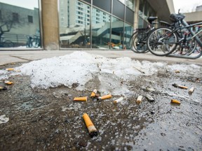 Cigarette butts are seen on the ground behind City Hall in Toronto Monday March 16, 2015. (Ernest Doroszuk/Toronto Sun)