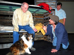 Candy, left, played by Bill Tye, interacts with Lenny, played by Graeme Middleton, as Lenny kneels down to see Candy's pup during a scene from John Steinbeck's Of Mice and Men. Chris Aldred, right, who plays George, looks on. The dog, while unnamed in the production, is played by Robin, a Sheltie, who was rescued from a high-kill shelter in Missouri. Theatre Kent performed Of Mice and Men on Tuesday night at the Roxy Theatre in Owen Sound as part of the Western Ontario Drama League Festival. (DENIS LANGLOIS, QMI Agency)