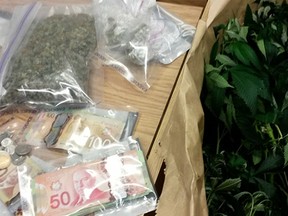 In a raid, RCMP seized about 100 marijuana plants in various stages of growth, along with 150 grams of dry pot and $2,000 cash.