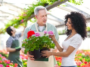 In a garden centre, the staff are passionate about plants and gardening and have at least one landscape designer who can help you create your dream oasis.