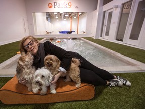 Susan Rupert, owner of Park9, plays with Munchkin, Peanut and Button at her canine resort on Thursday, March 19, 2015. (Craig Robertson/Toronto Sun)