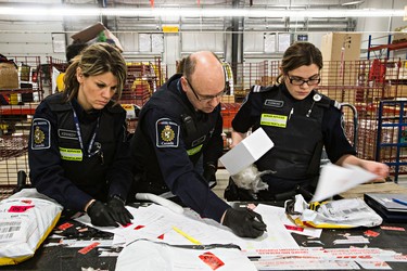 Border services officers Jennifer Kennedy, left, Malcolm Hey, centre, and Sonya Cudmore, right, check an incoming shipment at DHL at the Edmonton International Airport in Leduc, Alta., on Thursday, March 5, 2015. Codie McLachlan/Edmonton Sun/QMI Agency