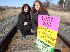 Rhonda Cook of Winnipeg Lost Dog Alert (r) and Cheryl Coleman display a lost dog sign in Winnipeg, Man. Wednesday March 18, 2015. WLDA has been threatened with a $300 bylaw fine for posting their signs.
