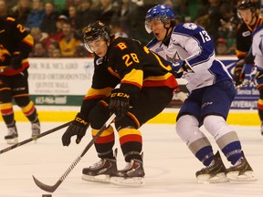 Belleville Bulls forward David Tomasek controls the puck as Sudbury Wolves forward Michael Pezzetta gives chase during OHL action at Yardmen Arena in Belleville on Saturday night.