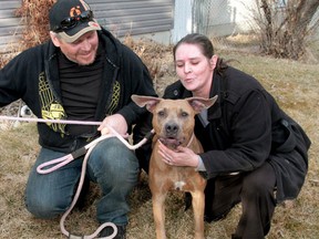 Ryan McCullough holds on to Isabella while Natasha Chabun holds onto Isabella's mom Velvet at their home in Calgary, Alta., on March 22, 2015. Isabella was recently returned home after being missing for two months. (Mike Drew/QMI Agency)