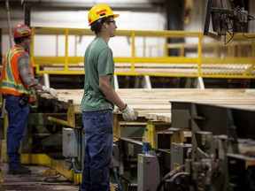 Employees at West Fraser's Blue Ridge lumber mill are pictured at work in September 2014.

File Photo | Whitecourt Star