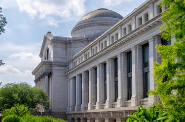 National Museum of Natural History, Washington.  Star Attractions:The hall of dinosaurs and the O. Orkin Insect Zoo.