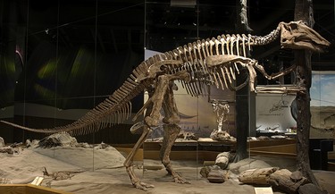 Royal Tyrrell Museum of Paleontology, Drumheller, Alta. Star Attractions: The Royal Tyrrell Museum focuses solely on palaeontology and the rich fossil history in the surrounding area of Alberta. (Courtesy Royal Tyrrell Museum of Paleontology)