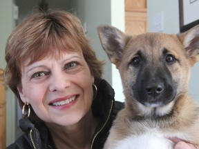 Genny Landis, with her puppy Anna, is organizing a week-long dog camp to be held in July at St. Lawrence College. Participants can stay in residence and try out a variety of activities with their dogs, including obedience, flyball and agility. (MICHAEL LEA/QMI AGENCY)