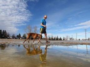 A reader asks if it is against the law to not pick up your dogs? waste. (QMI Agency file photo)