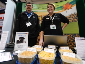 Matthew Atkins, left, and Bess Hamilton of the Canadian Grain Commission show off a variety of grains at the Grain Farmers of Ontario March Classic at the London Convention Centre Tuesday. (ANDREW LAHODYNSKYJ, The London Free Press)