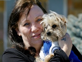 Patricia Mannisto cuddles her eight-year-old morkie O.J. after he disappeared early in March from Louisville, On., and turned up at a shelter in Wallaceburg, 30 km away several days later. Mannisto had no idea her dog was missing from her friends house until he showed up on her Facebook page as a rescue in need of medical attention. Photo taken in Dresden, On.,  on Tuesday March 24, 2015. Diana Martin/Chatham Daily News/QMI Agency