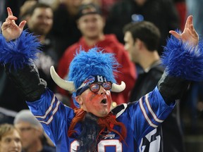 A Buffalo Bills fan cheers during a game against the Atlanta Falcons at the Rogers Centre on December 1, 2013. (Jack Boland/Toronto Sun/QMI Agency)