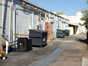 The laneway where the body of 3-week-old  Eliza Delacruz was found dead inside a dumpster in Imperial Beach, California January 5, 2015. REUTERS/Mike Blake