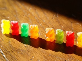 Marijuana-infused sour gummy bear candies are shown next to regular ones at left.  (REUTERS/Rick Wilking)