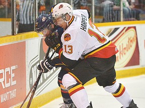 Bulls' Stephen Harper works the boards against a Barrie Colts foe during OHL playoff action Thursday night in Barrie. (Ian McInroy/Barrie Examiner)