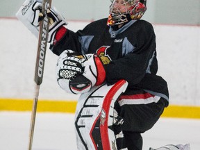 Craig Anderson (left) may finally get back into the Ottawa nets with Andrew Hammond (above) hurting. (QMI AGENCY/PHOTO)