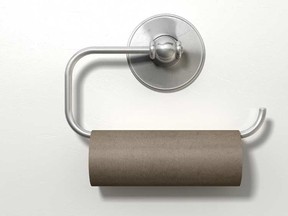 An empty roll of toilet paper. 

(Fotolia)
