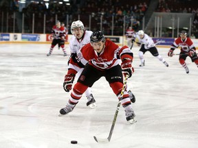 Ottawa 67's forward Dante Salituro fights off a Niagara player during Saturday's playoff game  against the IceDogs at TD Place. (Chris Hofley/Ottawa Sun)