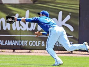 Jays’ Jose Bautista makes a running catch in the third inning of yesterday’s 4-2 pre-season loss to the Orioles at Dunedin. (USA TODAY SPORTS)