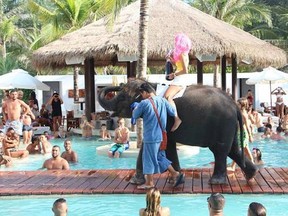 A  young woman is pictured riding a baby elephant at Nikki Beach Resort in Phuket, Thailand. Critics online lashed out at the resort for animal exploitation, and prompted the resort to apologize and vow to never allow elephants on-site again. (QMI Agency/Twitter)