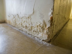 A wall in the hallway at the Grassways housing TCHC complex in the Jane St.-Finch Ave. area. (ERNEST DOROSZUK, Toronto Sun)
