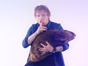 Ed Sheeran, holding Justin "Beaver", announced Monday he will be hosting this year's Much Music Video Awards.