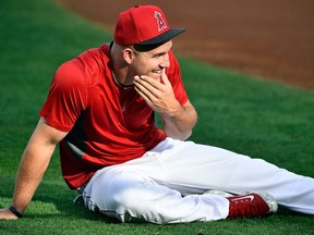 Angels' Mike Trout is once again the top-ranked overall hitter -- and, perhaps, player -- heading into drafts and auctions. (AFP)